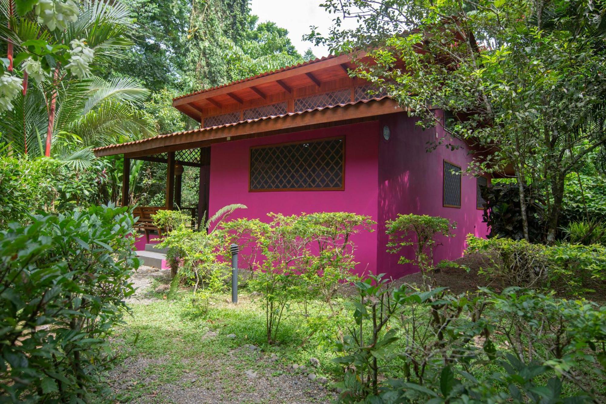 Hotel Casa Merlin Puerto Viejo de Talamanca Exterior foto