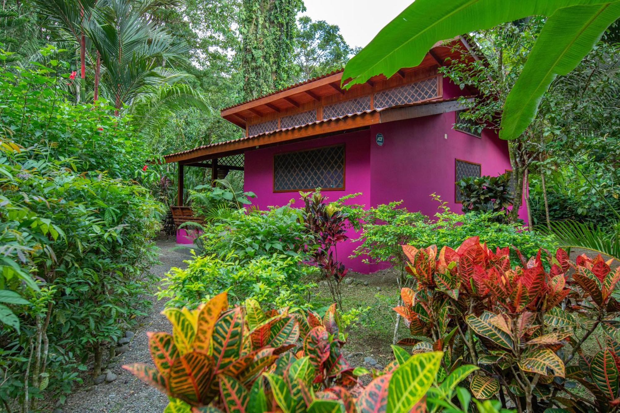 Hotel Casa Merlin Puerto Viejo de Talamanca Exterior foto