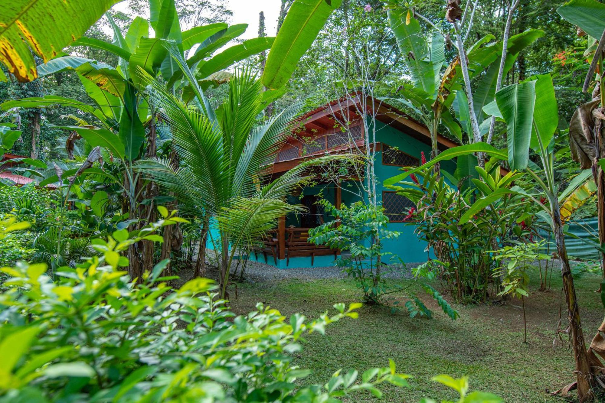 Hotel Casa Merlin Puerto Viejo de Talamanca Exterior foto