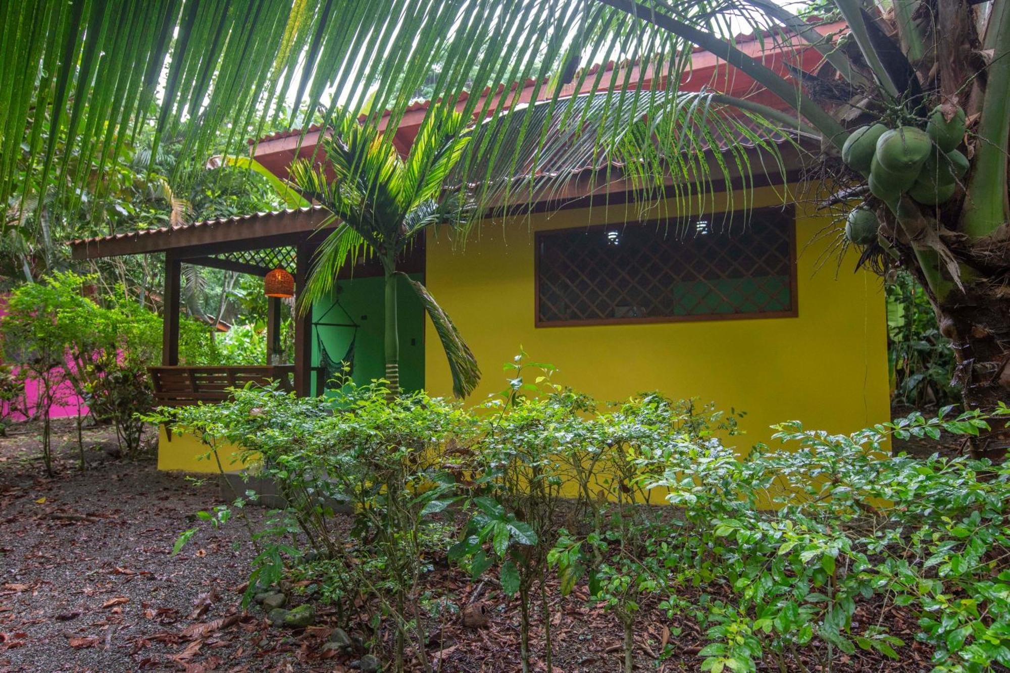 Hotel Casa Merlin Puerto Viejo de Talamanca Cameră foto